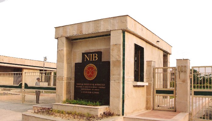NIB Gate